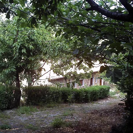 Condado De Miranda 公寓 米兰达德尔卡斯塔尼亚尔