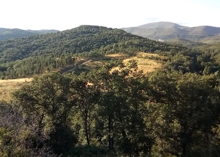 Condado De Miranda Apartamento *
